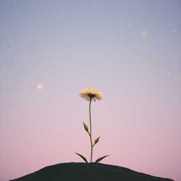 На другом конце времен